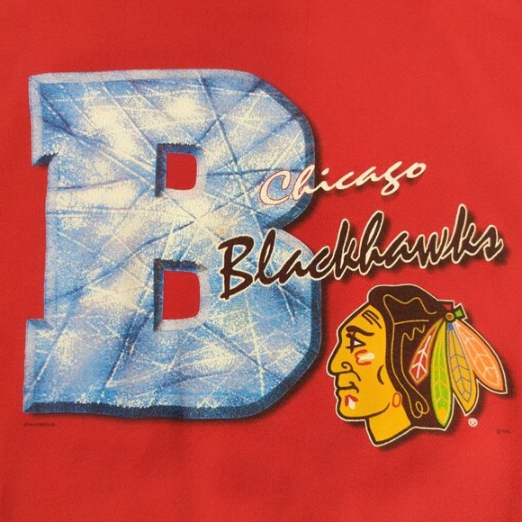 Vtg Lee Sport 90's Chicago Blackhawks Pullover Crewneck Sweater Nutmeg Men's L - Picture 2 of 10